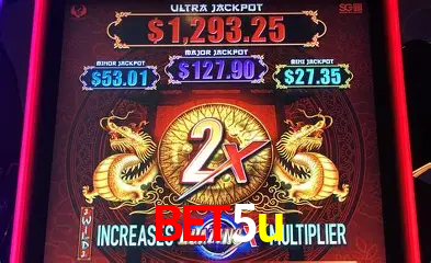 A Experiência Imersiva dos Cassinos Ao Vivo no bet5u